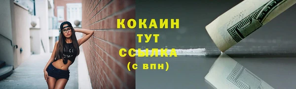 стафф Баксан