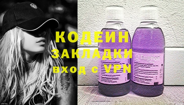 молекула духа Арсеньев