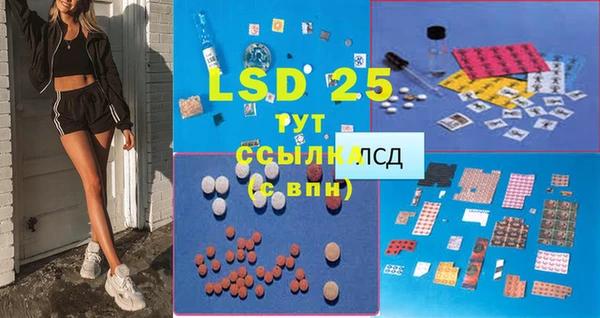 стафф Баксан