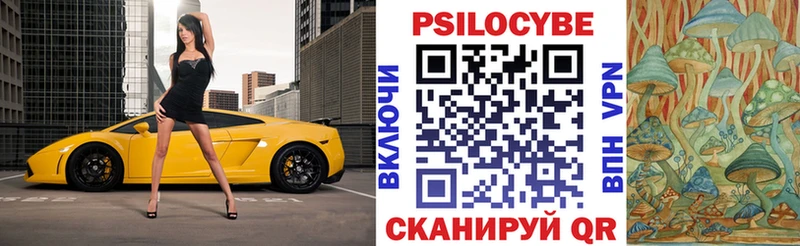 Псилоцибиновые грибы прущие грибы  купить наркотики сайты  Стародуб 